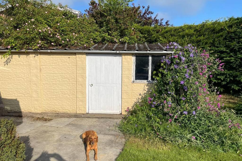 3 Bed Bungalow In Winchcombe, Cotswolds,Gloucester Kültér fotó